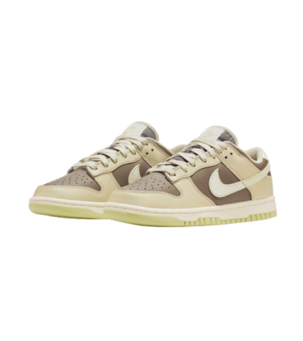 Nike Dunk Low Velcro Tongue